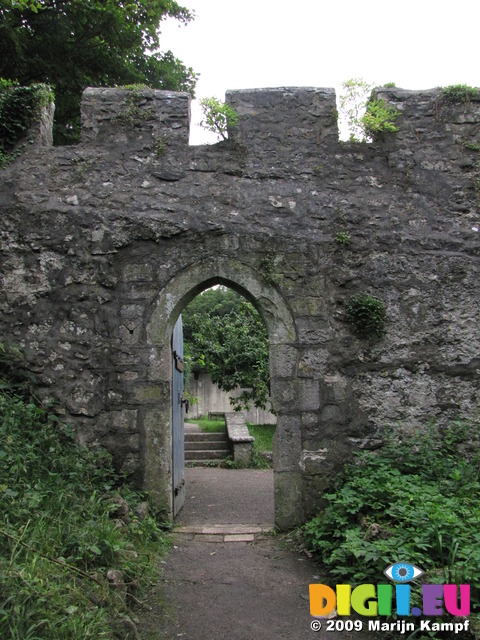 SX08038 Open door towards Dunraven walled garden